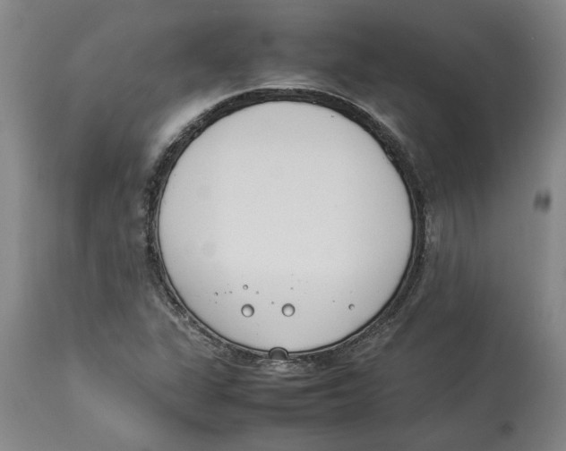 X0000113931311200910231912