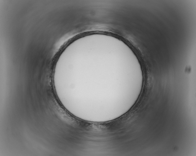 X0000113931312200910231912
