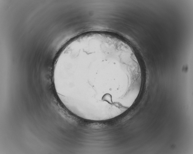 X0000113931314200910231912