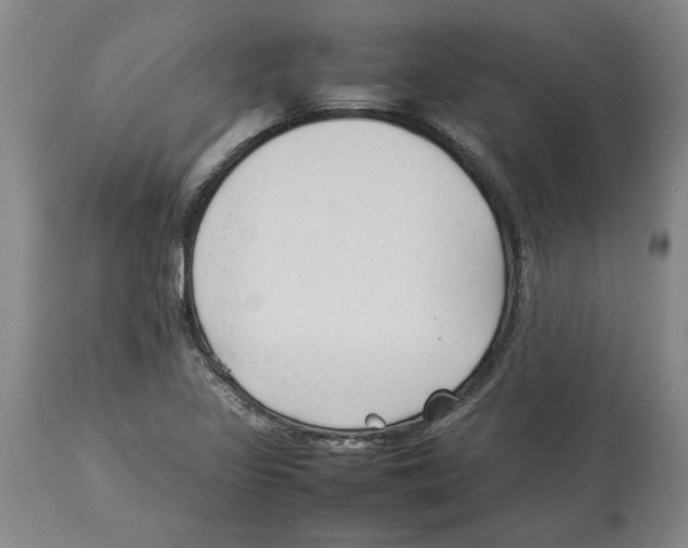 X0000113931317200910231912