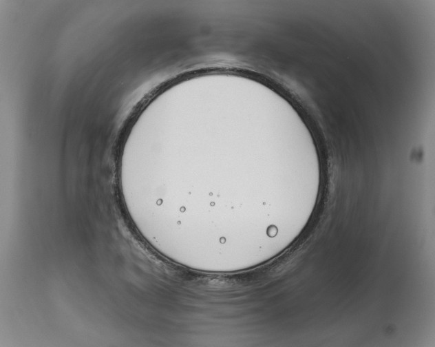 X0000113931318200910231912