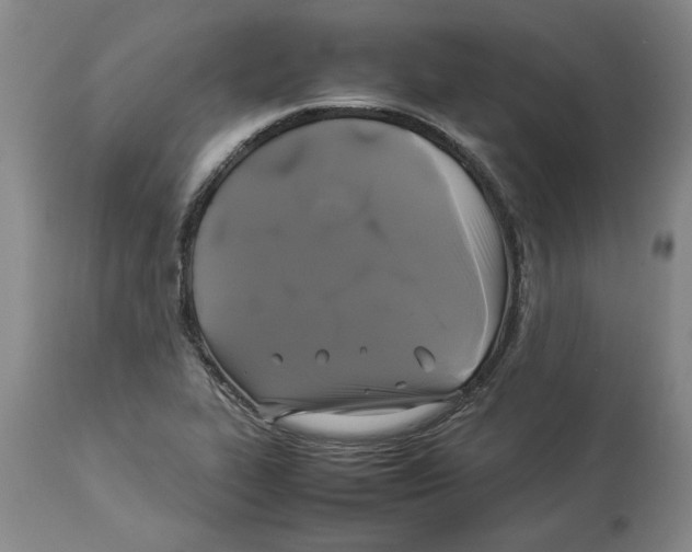 X0000113931319200910231912