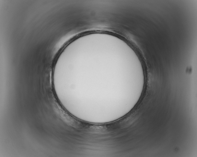 X0000113931320200910231912