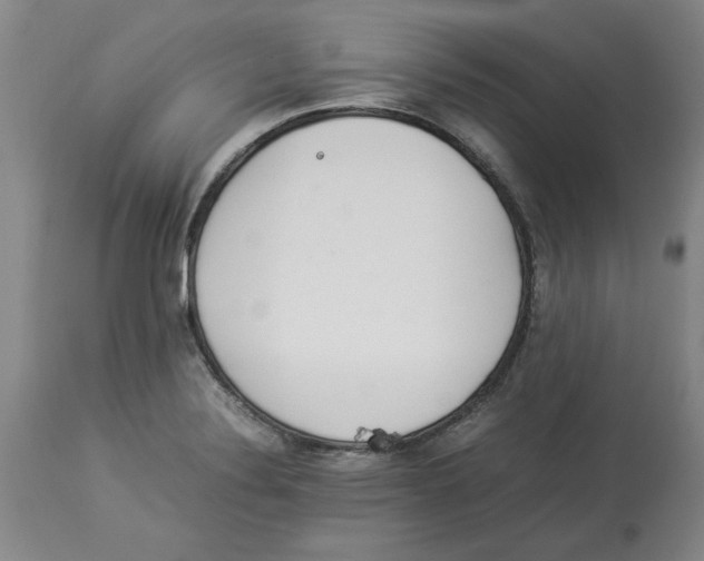 X0000113931324200910231912