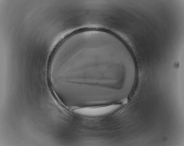 X0000113931327200910231912