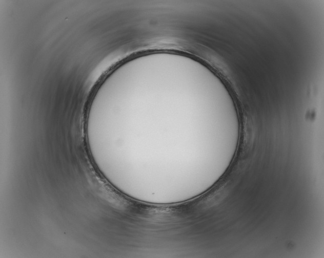 X0000113931328200910231912