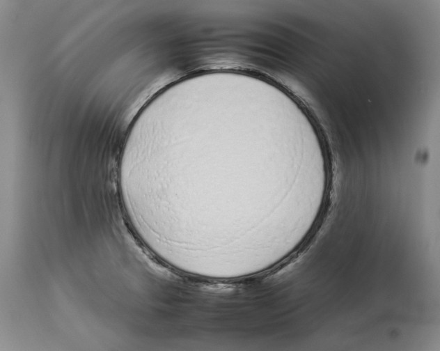 X0000113931329200910231912