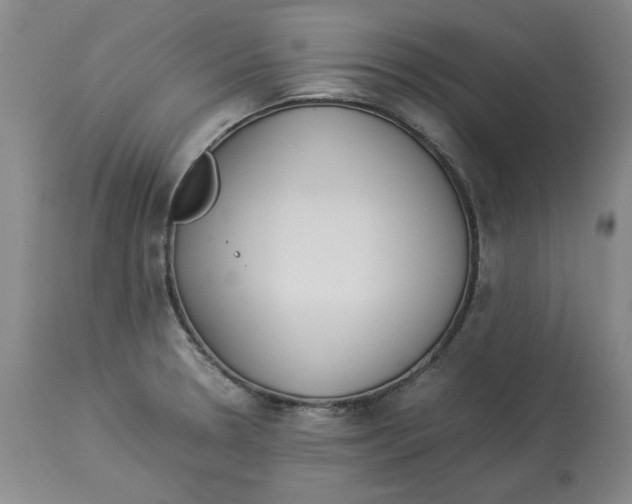X0000113931330200910231912