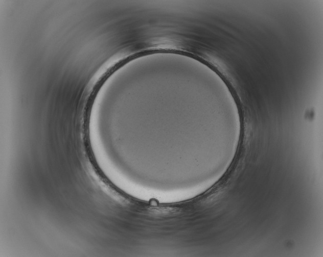 X0000113931331200910231912