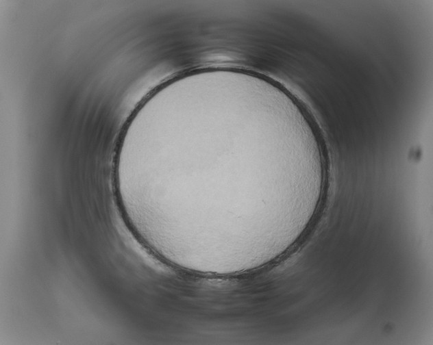 X0000113931333200910231912