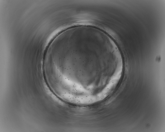 X0000113931334200910231912