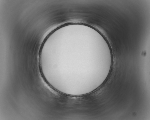 X0000113931335200910231912