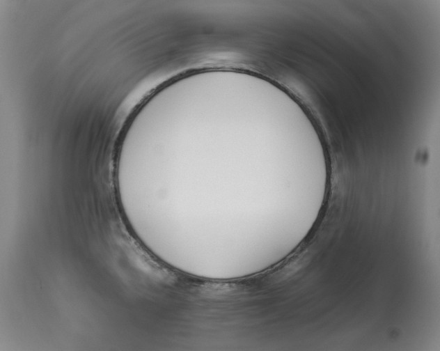 X0000113931336200910231913