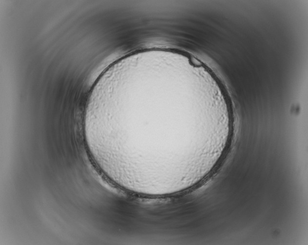 X0000113931337200910231913