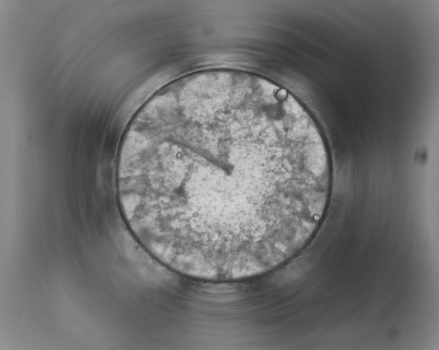 X0000113931338200910231913