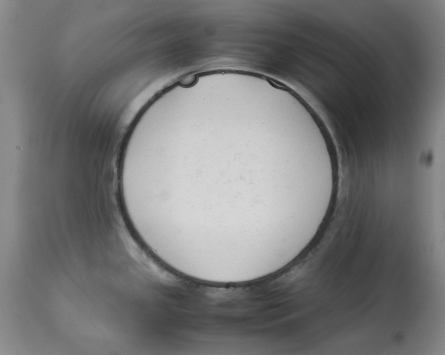X0000113931341200910231913