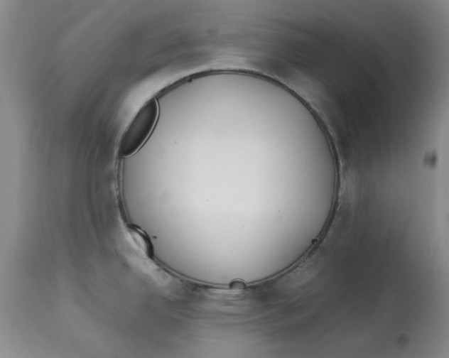 X0000113931342200910231913