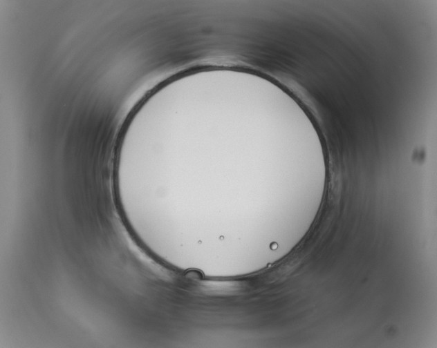 X0000113931343200910231913
