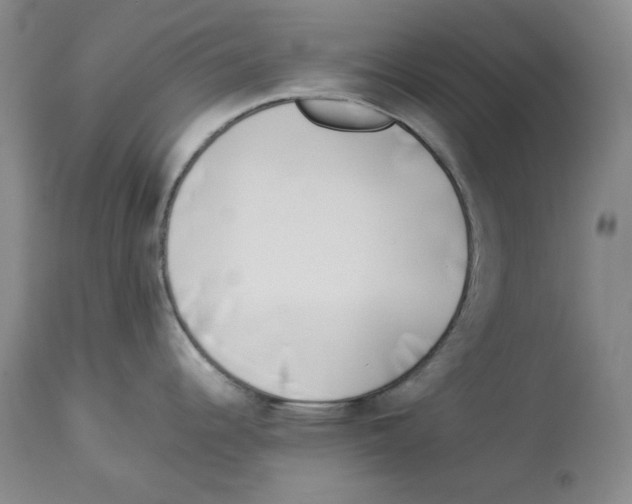 X0000113931344200910231913