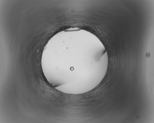 X0000113931345200910231912