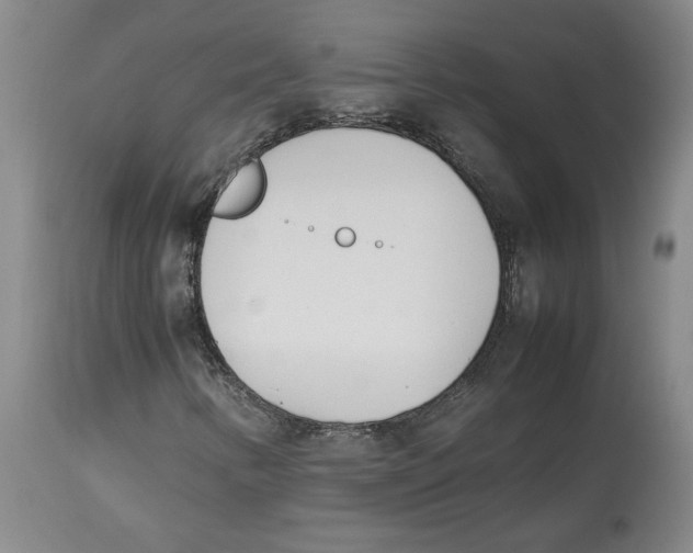X0000113931346200910231912