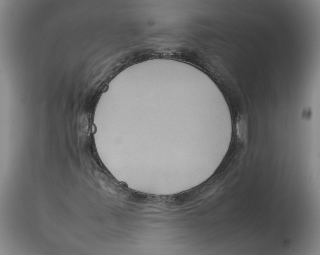 X0000113931347200910231912