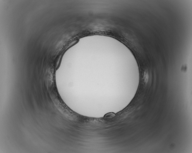 X0000113931348200910231912