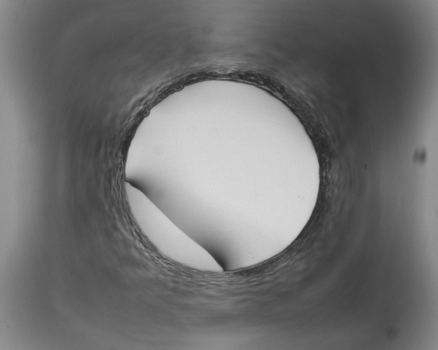 X0000113931349200910231912