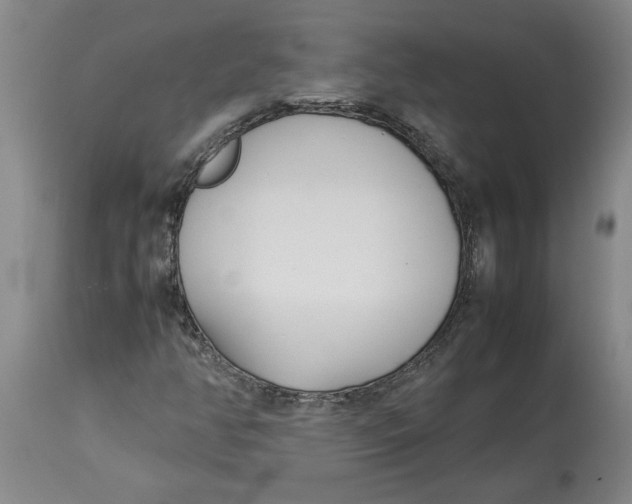 X0000113931350200910231912
