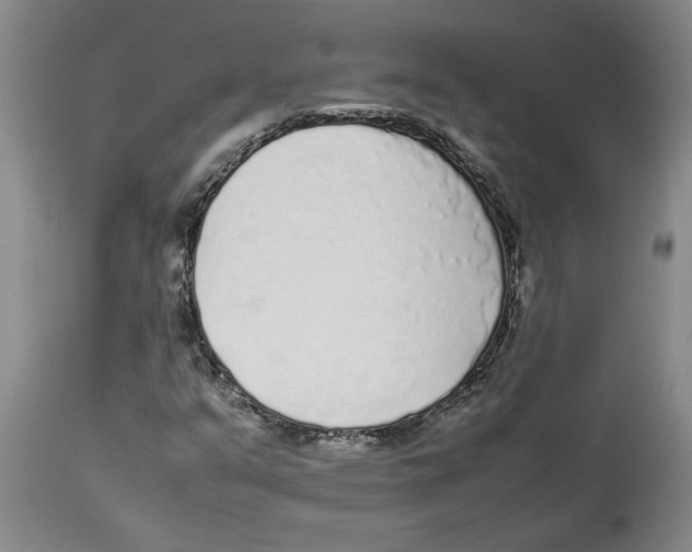 X0000113931351200910231912