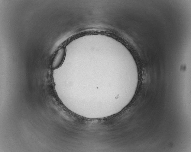 X0000113931352200910231912