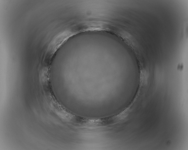 X0000113931353200910231912