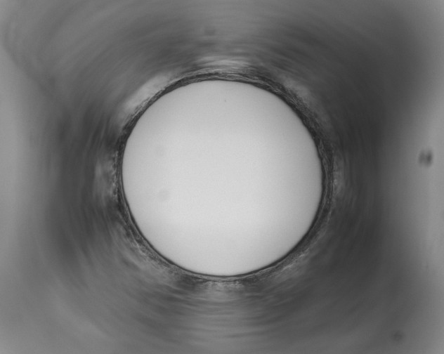 X0000113931354200910231912