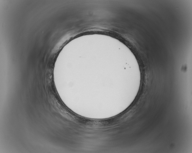 X0000113931355200910231912
