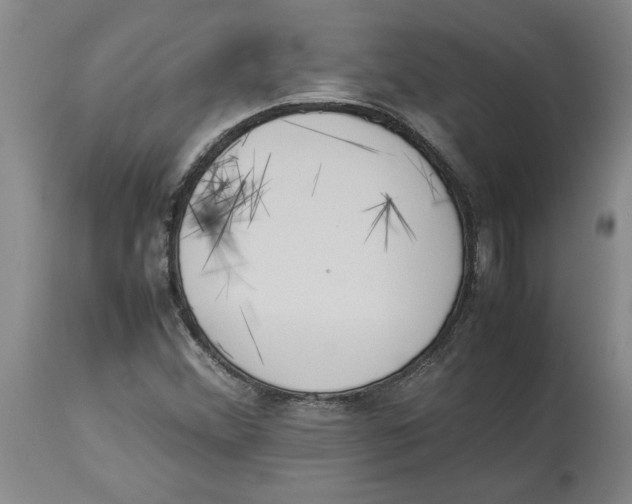 X0000113931356200910231912
