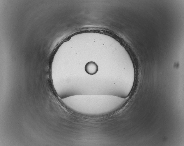 X0000113931357200910231912
