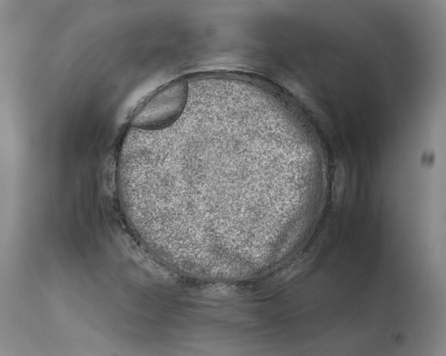 X0000113931358200910231912