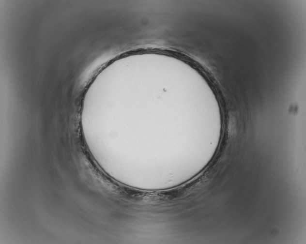 X0000113931359200910231912