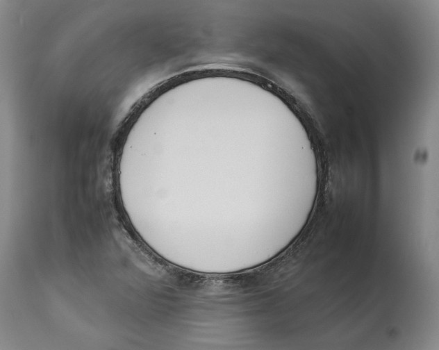 X0000113931360200910231912
