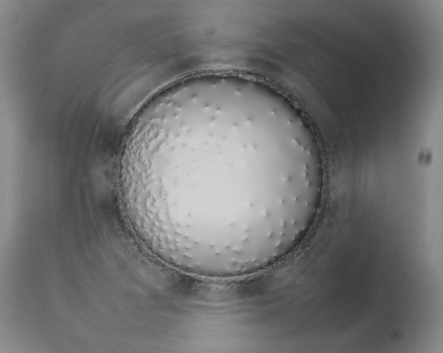 X0000113931361200910231912