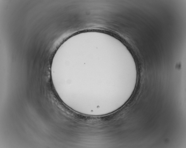 X0000113931363200910231912