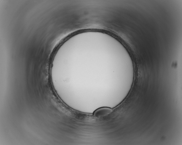 X0000113931364200910231912