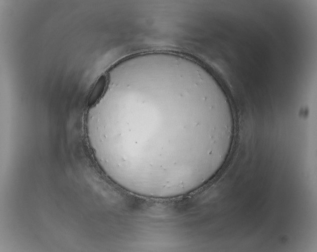 X0000113931365200910231912