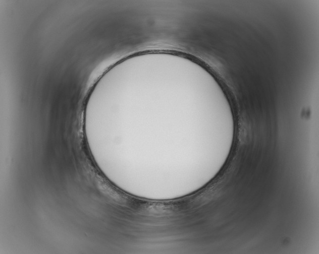 X0000113931366200910231912