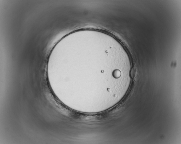 X0000113931367200910231912