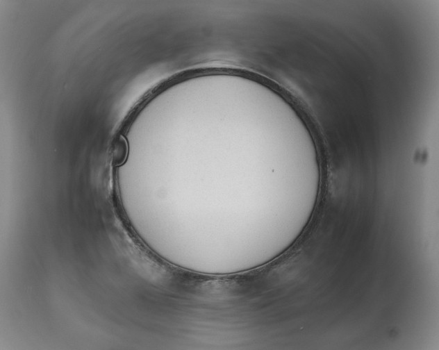X0000113931368200910231912