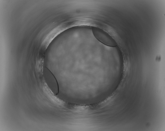 X0000113931369200910231912