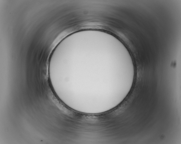 X0000113931370200910231912