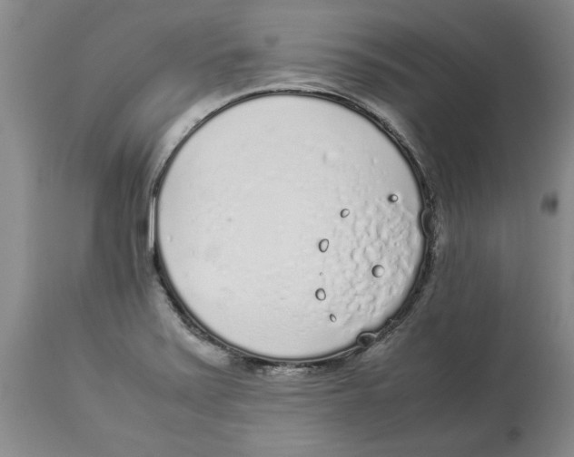 X0000113931371200910231912