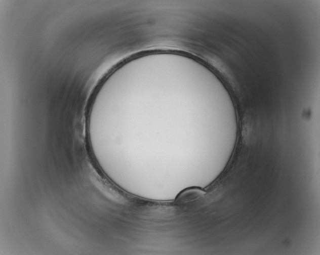 X0000113931372200910231912